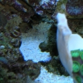 DSCN3744
