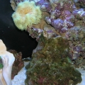 DSCN3748