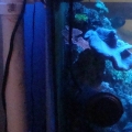 my bulkhead setup