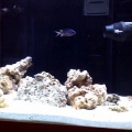 MyTankStage1
