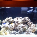 MyTankStage2