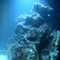 LIVE ROCK RIGHT SIDE