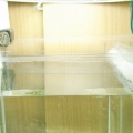 new sump