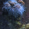 DSCN1128