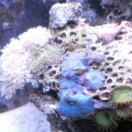 DSCN1133