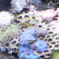 DSCN1135