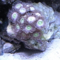 DSCN1140