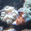 DSCN1142