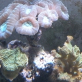 DSCN1144
