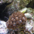 DSCN1149