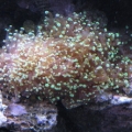 DSCN1150