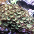 DSCN1151