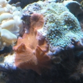 DSCN1152