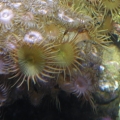 DSCN1156