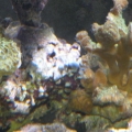 DSCN1157