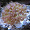 DSCN1168