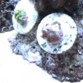 DSCN1171