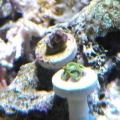 DSCN1172